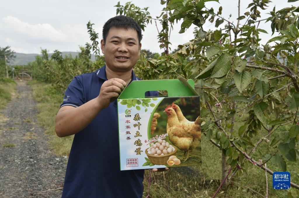 捕鱼达人2电脑单机